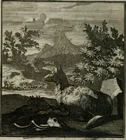 An illustration from Beschouwing der Wereld (1738)
