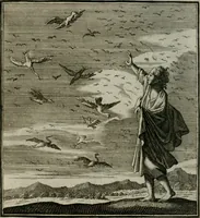 An illustration from Beschouwing der Wereld (1738)