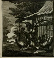 An illustration from Beschouwing der Wereld (1738)