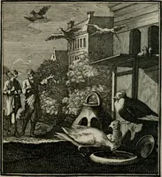 An illustration from Beschouwing der Wereld (1738)