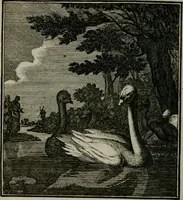 An illustration from Beschouwing der Wereld (1738)