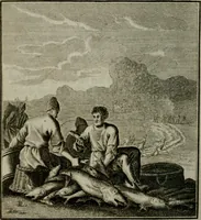 An illustration from Beschouwing der Wereld (1738)