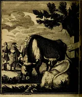 An illustration from Beschouwing der wereld : bestaande in hondert konstige figuuren, met godlyke spreuken en stichtelyke verzen (1708)