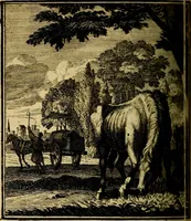 Picture 59 of 97 from Beschouwing der wereld : bestaande in hondert konstige figuuren, met godlyke spreuken en stichtelyke verzen (1708), leaf 253