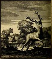 Picture 62 of 97 from Beschouwing der wereld : bestaande in hondert konstige figuuren, met godlyke spreuken en stichtelyke verzen (1708), leaf 265