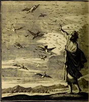 Picture 69 of 97 from Beschouwing der wereld : bestaande in hondert konstige figuuren, met godlyke spreuken en stichtelyke verzen (1708), leaf 293