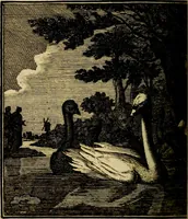 An illustration from Beschouwing der wereld : bestaande in hondert konstige figuuren, met godlyke spreuken en stichtelyke verzen (1708)