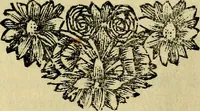 Picture 2 of 97 from Beschouwing der wereld : bestaande in hondert konstige figuuren, met godlyke spreuken en stichtelyke verzen (1708), leaf 6