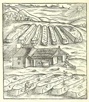 Picture 34 of 35 from Beschreibung allerfürnemisten mineralischen Ertzt vnnd Bergkwercks Arten : wie dieselbigen, vnd eine jede in Sonderheit jrer Natur und Eigenschafft nach, auff alle Metaln probirt vnd im kleinen Fewer sollen versucht werden : mit Erklärung etlicher fürnemer nützlichen Schmeltzwerck, im grossen Fewer auch Scheidung Goldts, Silbers, vnd anderer Metaln : sampt einem Bericht dess Kupffersaigerns, Messing brennens, vnd Salpeter siedens : auch aller saltzigen minerischen Proben, vnd was denen allen anhengig : in fünff Bücher verfast, dessgleichen zuuorn niemals in Druck kommen ... (1580), leaf 278