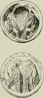 Picture 13 of 60 from Beschreibung der Bildwerke der christlichen Epoche. Bearb. von Wilhelm Bode und Hugo von Tschudi (1888), leaf 20