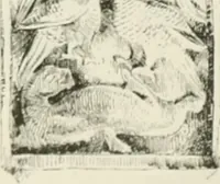Picture 16 of 60 from Beschreibung der Bildwerke der christlichen Epoche. Bearb. von Wilhelm Bode und Hugo von Tschudi (1888), leaf 21
