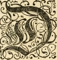 An illustration from Beschreibung derer fürstlicher güligscher &c. Hochzeit : so im Jahr Christi tausent fünffhundert achtzig fünff, am sechszehenden Junij vnd nechstfolgenden acht Tagen, zu Düsseldorff mit grossen Freuden, fürstlichen Triumph vnd Herrligkeit gehalten worden (1587)