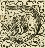 An illustration from Beschreibung derer fürstlicher güligscher &c. Hochzeit : so im Jahr Christi tausent fünffhundert achtzig fünff, am sechszehenden Junij vnd nechstfolgenden acht Tagen, zu Düsseldorff mit grossen Freuden, fürstlichen Triumph vnd Herrligkeit gehalten worden (1587)
