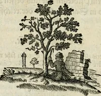 An illustration from Beschreibung der Illumination zu Dressden bey der königlichen sicilianischen in Vollmacht vollzogenen Vermählung : nebst andern dahin gehörigen Vorstellungen und verschiedenen Kupffer-Stichen (1738)