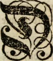 An illustration from Beschreibung der Illumination zu Dressden bey der königlichen sicilianischen in Vollmacht vollzogenen Vermählung : nebst andern dahin gehörigen Vorstellungen und verschiedenen Kupffer-Stichen (1738)
