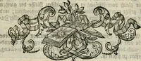 An illustration from Beschreibung der Illumination zu Dressden bey der königlichen sicilianischen in Vollmacht vollzogenen Vermählung : nebst andern dahin gehörigen Vorstellungen und verschiedenen Kupffer-Stichen (1738)