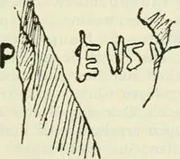 An illustration from Beschreibung der Vasensammlung im Antiquarium (1885)