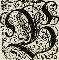 An illustration from Beschreibung des Haubt- und Frey-Schiessen, : welches von Ihro Kayser- und Königl. Catholischen Majestät Carolo Sexto, wegen erfreulichster Geburt, Leopoldi, dero Erst-Gebohrnen Ertz-Hertzogens zu Oesterreich, und Printzens von Asturien, der Wiennerischen Burgerschafft gegenem worden (1716)
