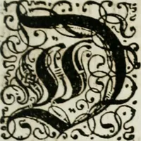 An illustration from Beschreibung des Haubt- und Frey-Schiessen, : welches von Ihro Kayser- und Königl. Catholischen Majestät Carolo Sexto, wegen erfreulichster Geburt, Leopoldi, dero Erst-Gebohrnen Ertz-Hertzogens zu Oesterreich, und Printzens von Asturien, der Wiennerischen Burgerschafft gegenem worden (1716)