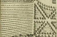 An illustration from Beschreibung des Hochfürstlichen Schlosses Esterháss im Königreiche Ungern (1784)