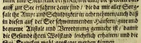 An illustration from Beschreibung von Tabago: einer Insul von denen Antilles, oder Caribischen Eylanden in America. (1684)