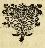 An illustration from Beschreibung von Tabago: einer Insul von denen Antilles, oder Caribischen Eylanden in America. (1684)