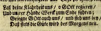 An illustration from Beschreibung von Tabago: einer Insul von denen Antilles, oder Caribischen Eylanden in America. (1684)