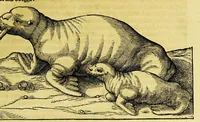 Picture 3 of 21 from Beschrijvinghe van West-Indien (1630), leaf 101