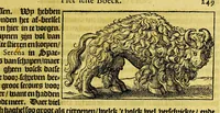 Picture 8 of 21 from Beschrijvinghe van West-Indien (1630), leaf 307