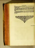 An illustration from Beschrijvinghe van West-Indien (1630)