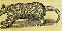 Picture 17 of 21 from Beschrijvinghe van West-Indien (1630), leaf 585