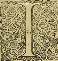 An illustration from Naukeurige beschryving der eilanden, in de archipel der Middelantsche zee, en ontrent dezelve, gelegen : waer onder de voornaemste Cyprus, Rhodus, Kandien, Samos, Scio, Negroponte, Lemnos, Paros, Delos, Patmos, en andere in groten getale, behelzende der zelver benamingen, gelegentheden, steden, kastelen, gedenkwaerdige aeloude en hedendaeghse geschiedenissen, bestieringen, veroveringen, gewassen, dieren, &c. : verrijkt met zee- en eilant-kaerten, en afbeeldingen van steden, dieren, gewassen &c. (1688)