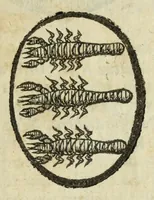 An illustration from Beschryvinge der stad Dordrecht : vervatende haar begin, opkomst, toeneming, en verdere stant ... Als mede een verzamelinge van eenige geslachtboomen, der adelijke, aal-oude, en aanzienlijke heeren-geslachten, van, en in, Dordrecht, enz. ... (1677)