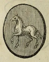 An illustration from Beschryvinge der stad Dordrecht : vervatende haar begin, opkomst, toeneming, en verdere stant ... Als mede een verzamelinge van eenige geslachtboomen, der adelijke, aal-oude, en aanzienlijke heeren-geslachten, van, en in, Dordrecht, enz. ... (1677)