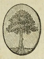 An illustration from Beschryvinge der stad Dordrecht : vervatende haar begin, opkomst, toeneming, en verdere stant ... Als mede een verzamelinge van eenige geslachtboomen, der adelijke, aal-oude, en aanzienlijke heeren-geslachten, van, en in, Dordrecht, enz. ... (1677)