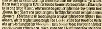An illustration from Beschryvinge van het heerlijcke ende gezegende landt Guajana, waer inne gelegen is de seer voorname lant-streke genaemt Serrenamme, die jegenwoordigh beseten wort by den staet van de Vereenighde Nederlantsche provintien. : Mitsgaders aenwysinge van de groote vermaeckelijckheden, voordeelen, ende rijckdommen die aldaer, ten reguarde van andere landen, te verkrijgen en te genieten zijn (1660)