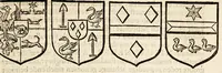 Picture 3 of 5 from Beschryvinge van Nieuvv-Nederlant, : (ghelijck het tegenwoordigh in staet is) begrijpende de nature, aert, gelegentheyt en vrucht-baerheyt van het selve lant; mitsgaders de proffijtelijcke ende gewenste toevallen, die aldaer tot onderhout der menschen, (soo uyt haer selven als van buyten ingegracht) gevonden worden. Als mede de maniere en onghemeyne eygenschappen vande wilden ofte naturellen vanden lande. Ende een bysonder verhael vanden wonderlijcken aert ende het weesen der bevers, daer noch by gevoeght is een discours over de gelegentheyt van Nieuw Nederlandt, tusschen een Nederlandts patriot, ende een Nieuw Nederlander. (1655), leaf 9