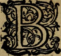 An illustration from Historische beschryvinghe der seer wijt beroemde Coop-stadt Amsterdam : waer inne benevens de eerste beginselen ende opcomsten der stadt, verscheyde privilgien ordonnantien, ende andere ghedenckweerdinghe gheschiedenissen met het ghene de nieuwe vergrootinghen der stadt, als oock de handel ende verre reysen ende de politie betreffende is, tot desen teghenwoordinghen tijt, nae her vervolch der jaeren, verhaelt werdt (1614)
