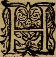 An illustration from Historische beschryvinghe der seer wijt beroemde Coop-stadt Amsterdam : waer inne benevens de eerste beginselen ende opcomsten der stadt, verscheyde privilgien ordonnantien, ende andere ghedenckweerdinghe gheschiedenissen met het ghene de nieuwe vergrootinghen der stadt, als oock de handel ende verre reysen ende de politie betreffende is, tot desen teghenwoordinghen tijt, nae her vervolch der jaeren, verhaelt werdt (1614)