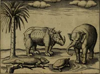 An illustration from Historische beschryvinghe der seer wijt beroemde Coop-stadt Amsterdam : waer inne benevens de eerste beginselen ende opcomsten der stadt, verscheyde privilgien ordonnantien, ende andere ghedenckweerdinghe gheschiedenissen met het ghene de nieuwe vergrootinghen der stadt, als oock de handel ende verre reysen ende de politie betreffende is, tot desen teghenwoordinghen tijt, nae her vervolch der jaeren, verhaelt werdt (1614)