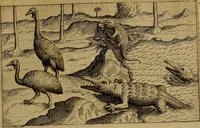 An illustration from Historische beschryvinghe der seer wijt beroemde Coop-stadt Amsterdam : waer inne benevens de eerste beginselen ende opcomsten der stadt, verscheyde privilgien ordonnantien, ende andere ghedenckweerdinghe gheschiedenissen met het ghene de nieuwe vergrootinghen der stadt, als oock de handel ende verre reysen ende de politie betreffende is, tot desen teghenwoordinghen tijt, nae her vervolch der jaeren, verhaelt werdt (1614)