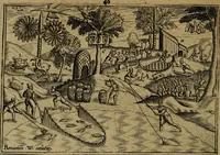 An illustration from Historische beschryvinghe der seer wijt beroemde Coop-stadt Amsterdam : waer inne benevens de eerste beginselen ende opcomsten der stadt, verscheyde privilgien ordonnantien, ende andere ghedenckweerdinghe gheschiedenissen met het ghene de nieuwe vergrootinghen der stadt, als oock de handel ende verre reysen ende de politie betreffende is, tot desen teghenwoordinghen tijt, nae her vervolch der jaeren, verhaelt werdt (1614)