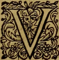 An illustration from Historische beschryvinghe der seer wijt beroemde Coop-stadt Amsterdam : waer inne benevens de eerste beginselen ende opcomsten der stadt, verscheyde privilgien ordonnantien, ende andere ghedenckweerdinghe gheschiedenissen met het ghene de nieuwe vergrootinghen der stadt, als oock de handel ende verre reysen ende de politie betreffende is, tot desen teghenwoordinghen tijt, nae her vervolch der jaeren, verhaelt werdt (1614)