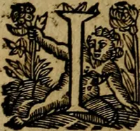 An illustration from Historische beschryvinghe der seer wijt beroemde Coop-stadt Amsterdam : waer inne benevens de eerste beginselen ende opcomsten der stadt, verscheyde privilgien ordonnantien, ende andere ghedenckweerdinghe gheschiedenissen met het ghene de nieuwe vergrootinghen der stadt, als oock de handel ende verre reysen ende de politie betreffende is, tot desen teghenwoordinghen tijt, nae her vervolch der jaeren, verhaelt werdt (1614)