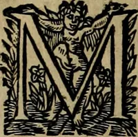 An illustration from Historische beschryvinghe der seer wijt beroemde Coop-stadt Amsterdam : waer inne benevens de eerste beginselen ende opcomsten der stadt, verscheyde privilgien ordonnantien, ende andere ghedenckweerdinghe gheschiedenissen met het ghene de nieuwe vergrootinghen der stadt, als oock de handel ende verre reysen ende de politie betreffende is, tot desen teghenwoordinghen tijt, nae her vervolch der jaeren, verhaelt werdt (1614)