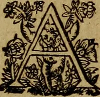 An illustration from Historische beschryvinghe der seer wijt beroemde Coop-stadt Amsterdam : waer inne benevens de eerste beginselen ende opcomsten der stadt, verscheyde privilgien ordonnantien, ende andere ghedenckweerdinghe gheschiedenissen met het ghene de nieuwe vergrootinghen der stadt, als oock de handel ende verre reysen ende de politie betreffende is, tot desen teghenwoordinghen tijt, nae her vervolch der jaeren, verhaelt werdt (1614)