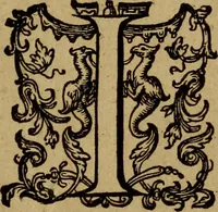 An illustration from Historische beschryvinghe der seer wijt beroemde Coop-stadt Amsterdam : waer inne benevens de eerste beginselen ende opcomsten der stadt, verscheyde privilgien ordonnantien, ende andere ghedenckweerdinghe gheschiedenissen met het ghene de nieuwe vergrootinghen der stadt, als oock de handel ende verre reysen ende de politie betreffende is, tot desen teghenwoordinghen tijt, nae her vervolch der jaeren, verhaelt werdt (1614)