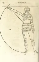 Picture 15 of 41 from Beschryvinghe van Albrecht Durer van de menschelijcke proportion : begrepen in vier onderscheyden boecken, zeer nut ende profijtelijck voor alle lief-hebbers defer konste : in't latijn ende hooghduytsch, tot Nurenbergh ghedruct, tot koste van syne nae-ghelaten weduvve, in't iaer ons Heeren 1527 : ende nu in onse Nederlandtsche sprake over-gheset, tot dienste der ghener die de konste beminnen, ende de latijnsche ofte hooghduytsche sprake niet en cerstaen (1622), leaf 132