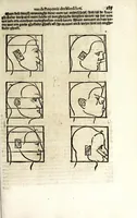 Picture 28 of 41 from Beschryvinghe van Albrecht Durer van de menschelijcke proportion : begrepen in vier onderscheyden boecken, zeer nut ende profijtelijck voor alle lief-hebbers defer konste : in't latijn ende hooghduytsch, tot Nurenbergh ghedruct, tot koste van syne nae-ghelaten weduvve, in't iaer ons Heeren 1527 : ende nu in onse Nederlandtsche sprake over-gheset, tot dienste der ghener die de konste beminnen, ende de latijnsche ofte hooghduytsche sprake niet en cerstaen (1622), leaf 195