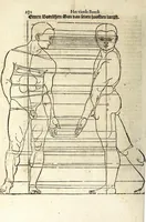Picture 34 of 41 from Beschryvinghe van Albrecht Durer van de menschelijcke proportion : begrepen in vier onderscheyden boecken, zeer nut ende profijtelijck voor alle lief-hebbers defer konste : in't latijn ende hooghduytsch, tot Nurenbergh ghedruct, tot koste van syne nae-ghelaten weduvve, in't iaer ons Heeren 1527 : ende nu in onse Nederlandtsche sprake over-gheset, tot dienste der ghener die de konste beminnen, ende de latijnsche ofte hooghduytsche sprake niet en cerstaen (1622), leaf 250